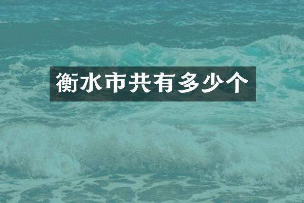 衡水市共有多少个
