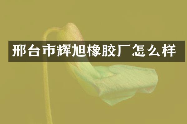 邢台市辉旭橡胶厂怎么样