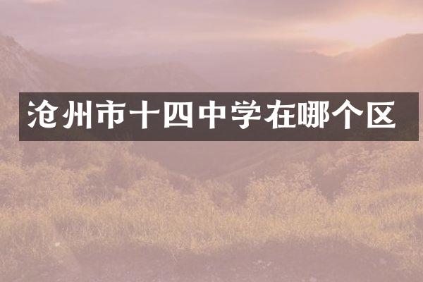 沧州市十四中学在哪个区