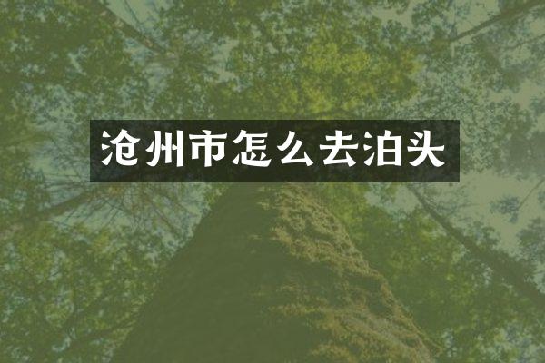 沧州市怎么去泊头