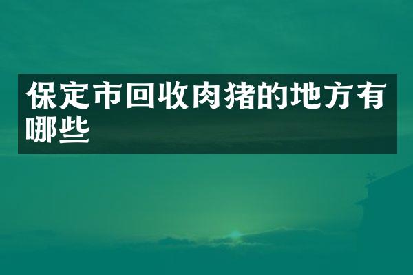 保定市回收肉猪的地方有哪些