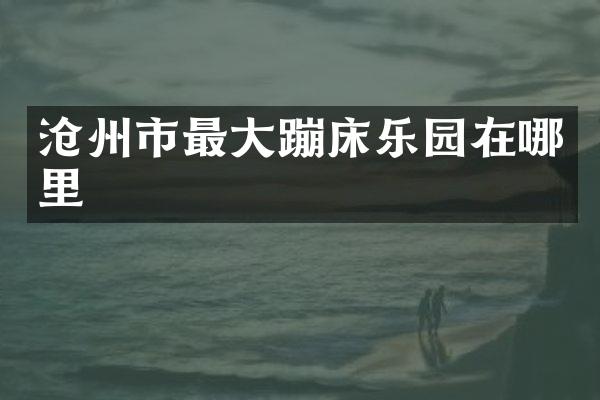 沧州市最大蹦床乐园在哪里