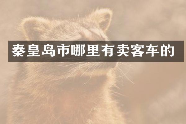 秦皇岛市哪里有卖客车的