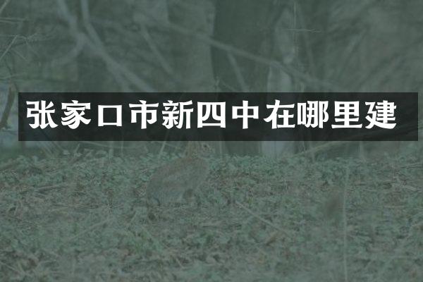 张家口市新四中在哪里建