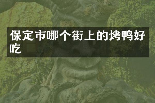 保定市哪个街上的烤鸭好吃