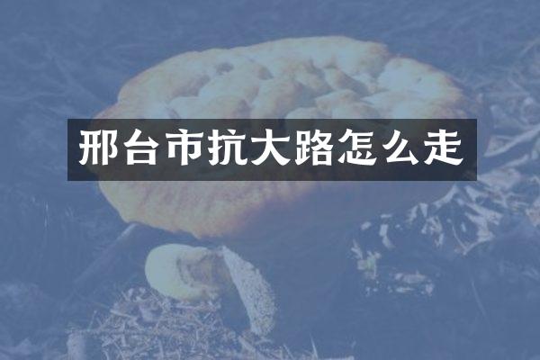 邢台市抗大路怎么走