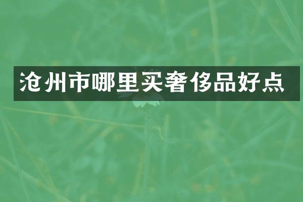 沧州市哪里买奢侈品好点