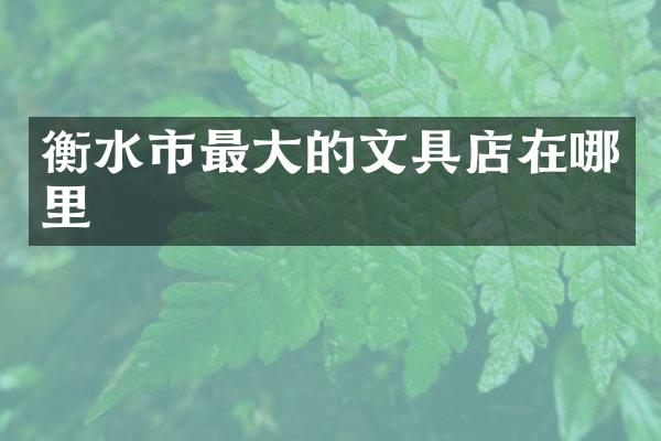 衡水市最大的文具店在哪里