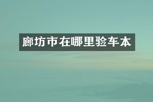 廊坊市在哪里验车本