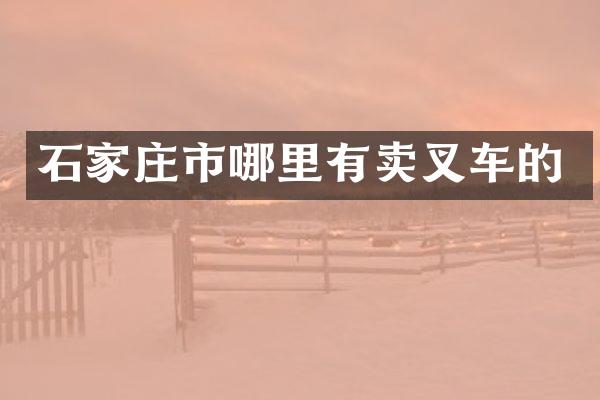 石家庄市哪里有卖叉车的