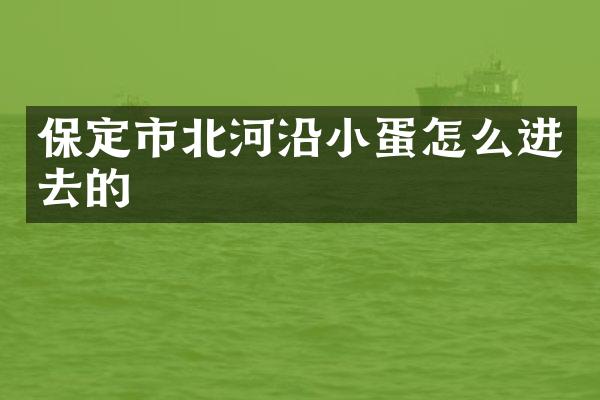 保定市北河沿小蛋怎么进去的