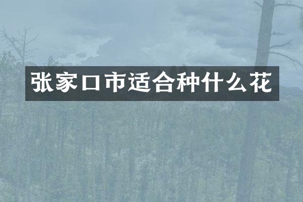 张家口市适合种什么花