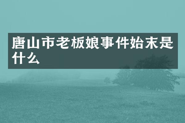 唐山市老板娘事件始末是什么
