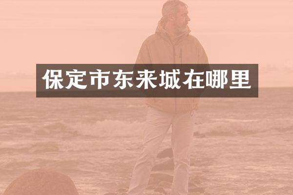 保定市东来城在哪里