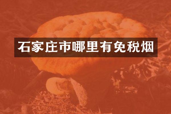 石家庄市哪里有免税烟