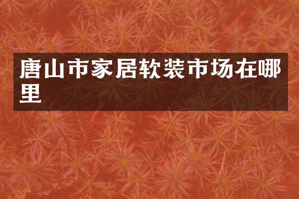 唐山市家居软装市场在哪里