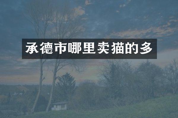 承德市哪里卖猫的多