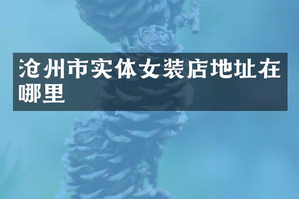 沧州市实体女装店地址在哪里