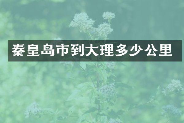 秦皇岛市到大理多少公里
