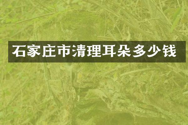 石家庄市清理耳朵多少钱