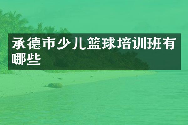 承德市少儿篮球培训班有哪些