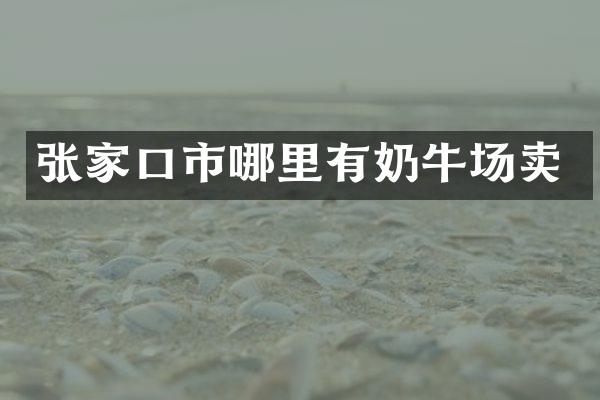 张家口市哪里有奶牛场卖