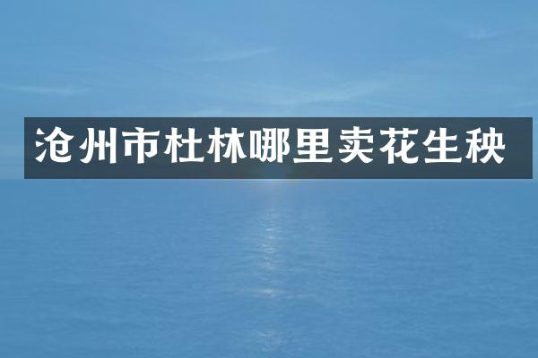 沧州市杜林哪里卖花生秧