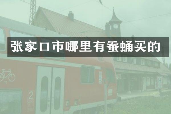 张家口市哪里有蚕蛹买的