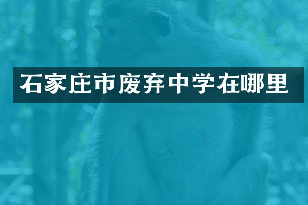 石家庄市废弃中学在哪里