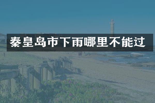秦皇岛市下雨哪里不能过