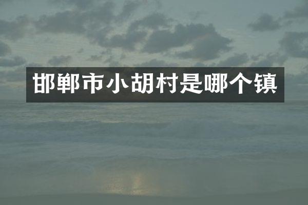 邯郸市小胡村是哪个镇