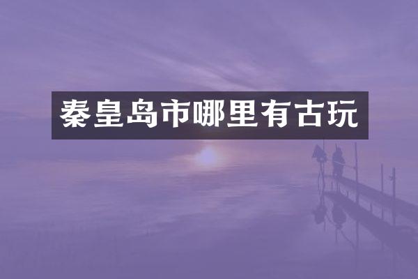 秦皇岛市哪里有古玩