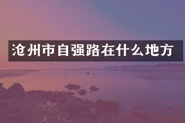 沧州市自强路在什么地方