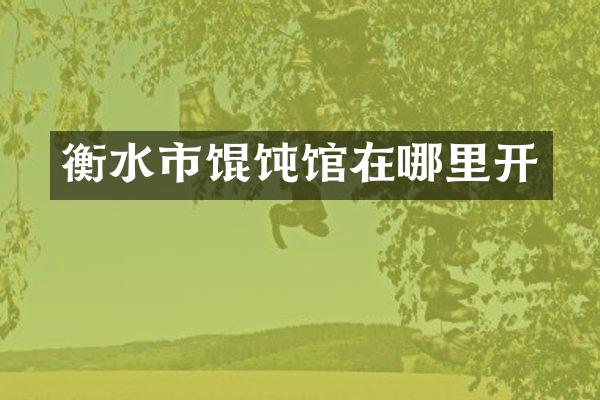 衡水市馄饨馆在哪里开