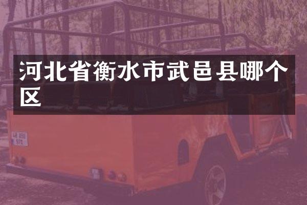 河北省衡水市武邑县哪个区