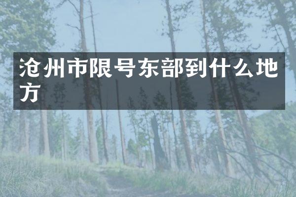 沧州市限号东部到什么地方