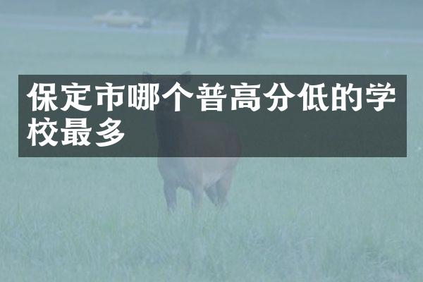 保定市哪个普高分低的学校最多