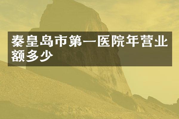 秦皇岛市第一医院年营业额多少