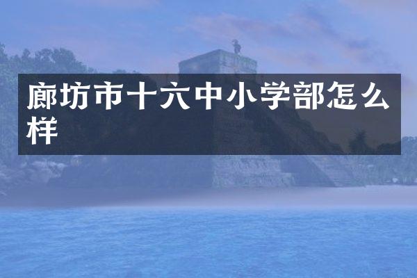 廊坊市十六中小学部怎么样