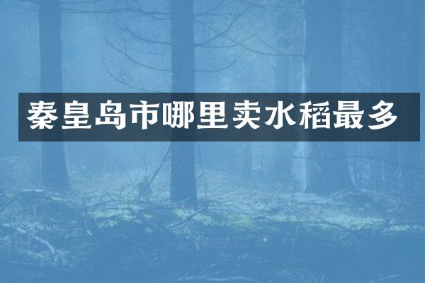 秦皇岛市哪里卖水稻最多