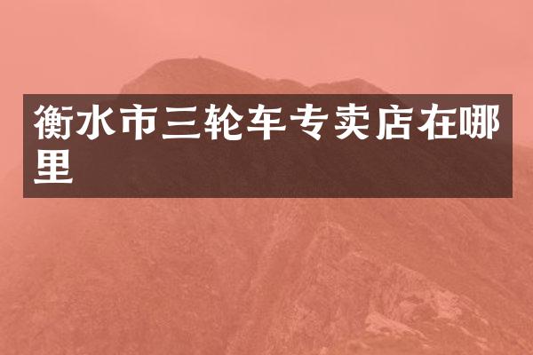 衡水市三轮车专卖店在哪里