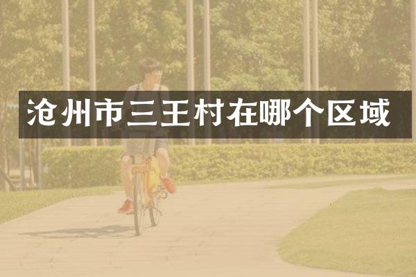 沧州市三王村在哪个区域