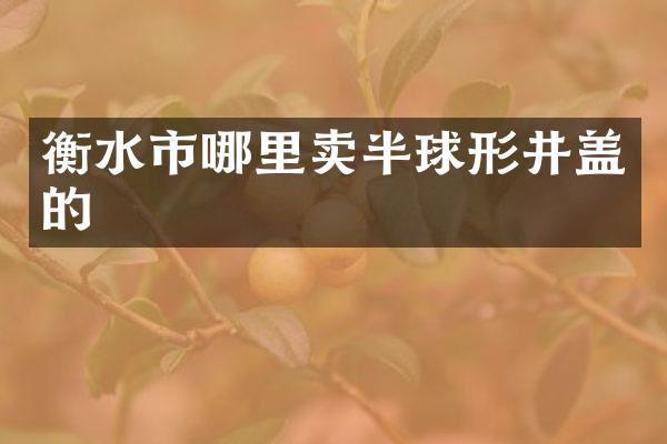 衡水市哪里卖半球形井盖的