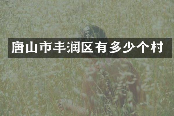 唐山市丰润区有多少个村