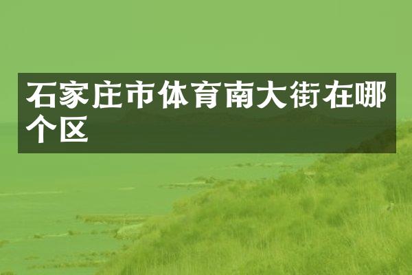 石家庄市体育南大街在哪个区