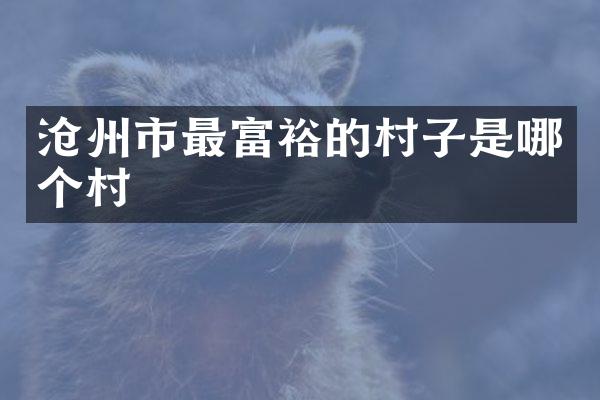 沧州市最富裕的村子是哪个村