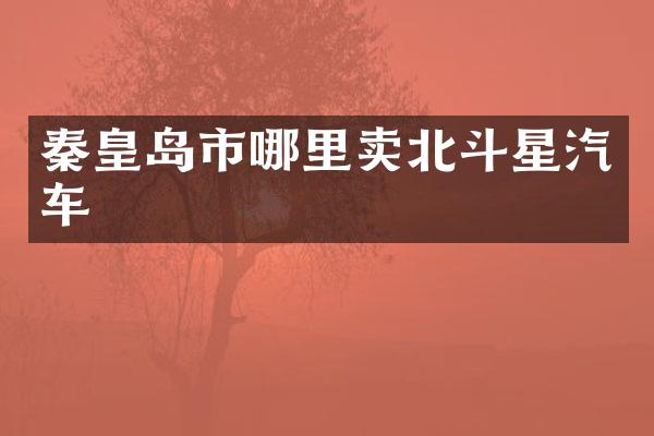 秦皇岛市哪里卖北斗星汽车
