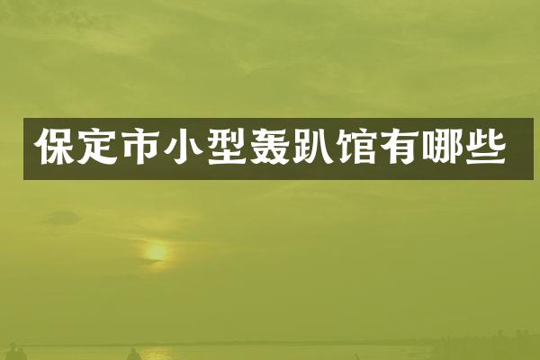 保定市小型轰趴馆有哪些