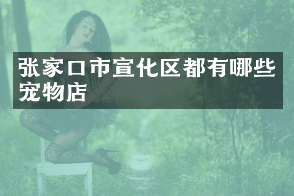 张家口市宣化区都有哪些宠物店