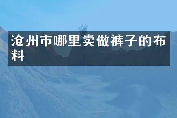 沧州市哪里卖做裤子的布料